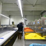 FRoSTA Paella Zutaten