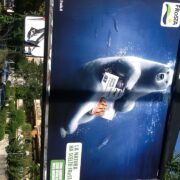 Foto: Bear Italy